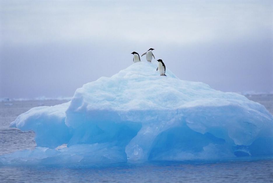 NAJNOVIJE OTKRIĆE Naučnici pronašli čestice mikroplastike u svežem snegu na Antarktiku
