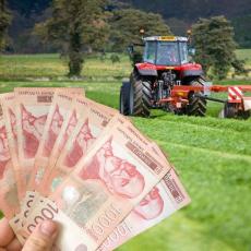 NAJSKUPLJE POLJOPRIVREDNO ZEMLJIŠTE NALAZI SE U SRBIJI: Hektar njive prodat za 100.000 EVRA