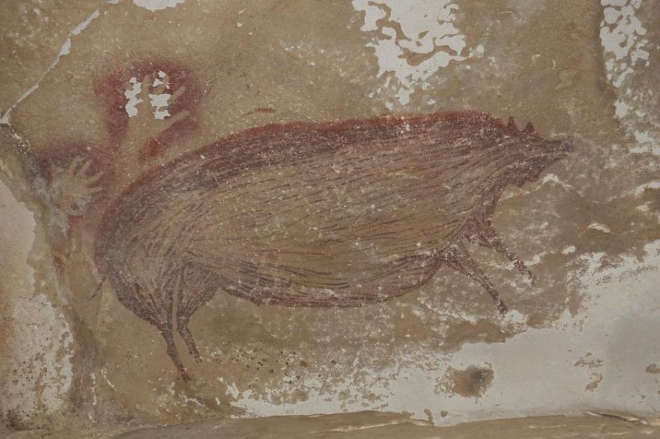 NAJSTARIJA PEĆINSKA SLIKA NA SVETU Nalazi se u Indoneziji, naslikana je pre najmanje 45.000 godina, a evo kako izgleda FOTO, VIDEO
