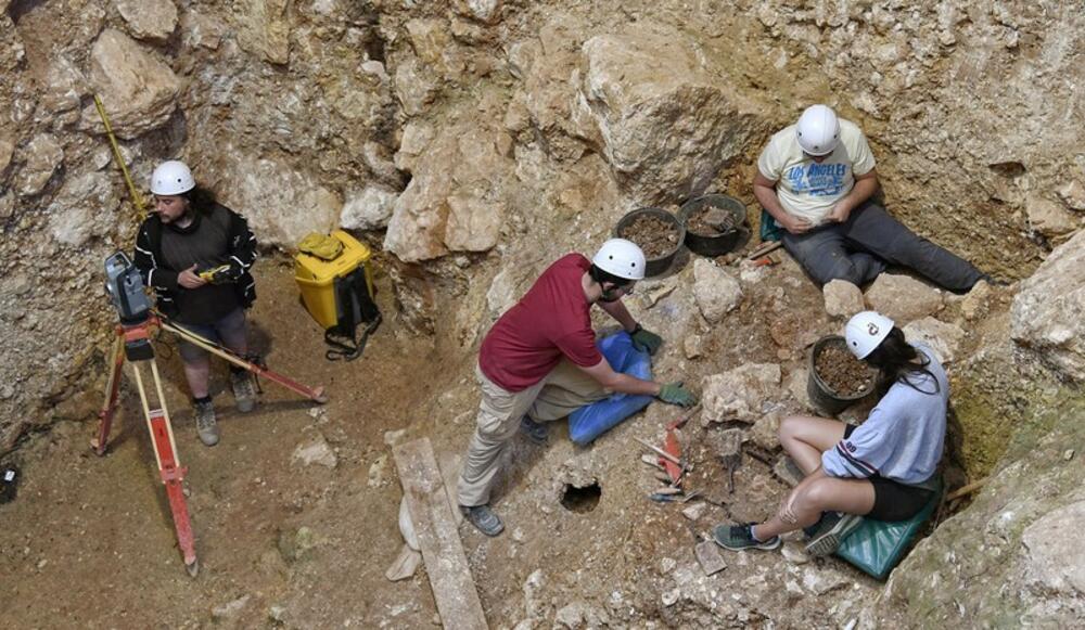 NAJSTARIJI FOSIL LJUDSKOG PRETKA OTKRIVEN U EVROPI? Naučnici pronašli fragment čeljusti hominida star 1,4 miliona godina