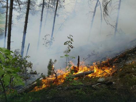 NAKON UDARA GROMA Požar u Jablanici još nije ugašen, ali je zaustavljeno prodiranje vatre u dubinu borove šume