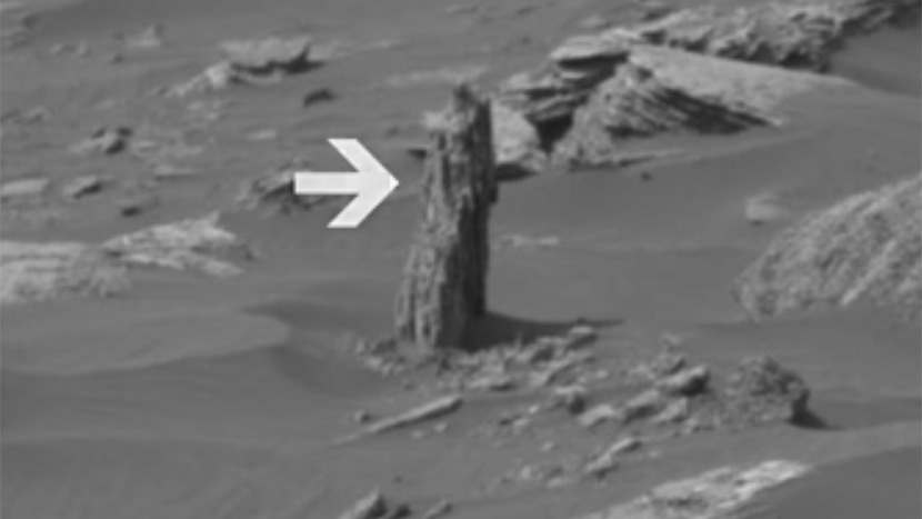 NASA POTVRDILA: Pronađeno drvo na Marsu! (VIDEO)