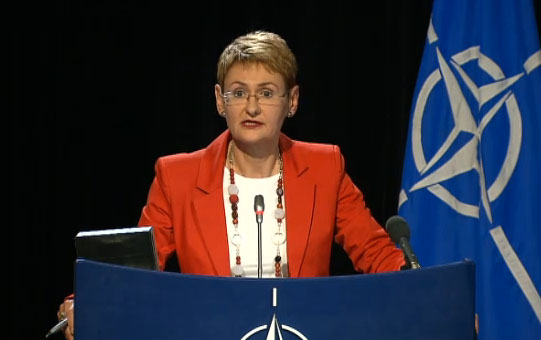 NATO izrazio „zabrinutost zbog stalnog destabilizirajućeg ponašanja Rusije“