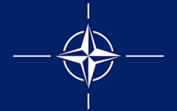 
					NATO ulazi u bitku protiv terorista ID 
					
									