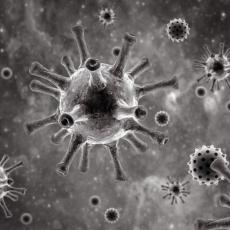 NAUČNICI OTKRILI NOVE DETALJE: Korona virus ima više od 200 mutacija!