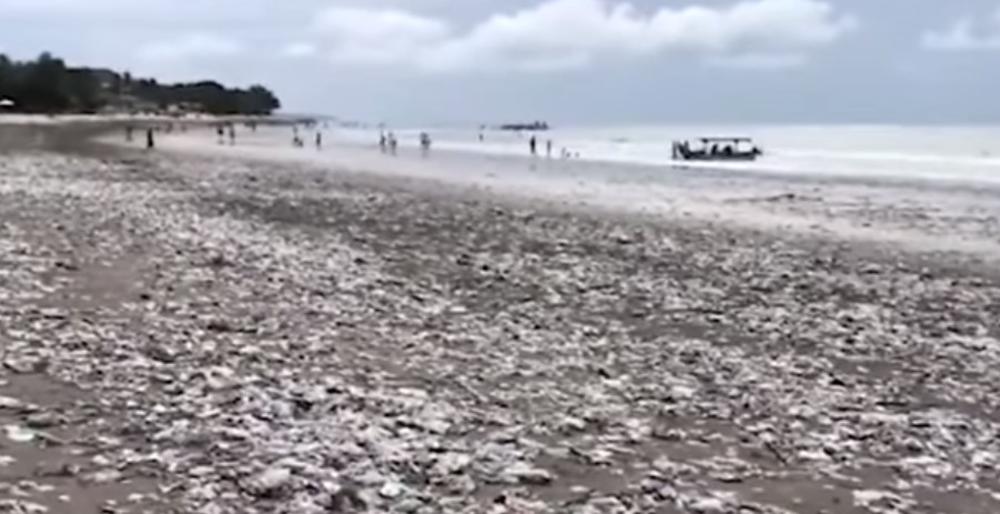 NEKADA RAJSKO MESTO, A DANAS DEPONIJA: Popularna plaža skroz prekrivena đubretom, pesak se ni ne vidi (VIDEO)