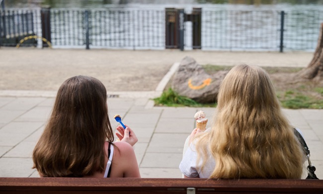 NEMAČKA: Mladi pozitivnije vide sopstvenu budućnost, društvenu nikako