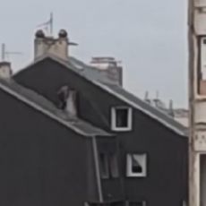 NESTVARNA SCENA U BEOGRADU: Muškarac šeta po kosom krovu zgrade, snimak ledi krv u žilama (VIDEO)
