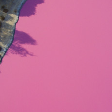 NEVEROVATAN PRIZOR: Jezera postala fluorescentno roze, ekolozi VEOMA ZABRINUTI, može biti opasno (VIDEO)