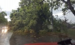 NEVREME TUTNjI SRBIJOM: Loznica bez struje, u Novom Sadu drveće padalo na automobile, leteli kontejneri (VIDEO)
