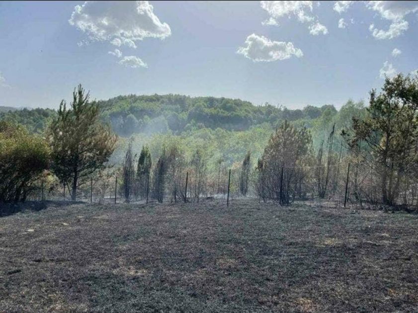 NOVE MUKE ZA UŽIČKE VATROGASCE: Veliki broj požara zahvatio zapadnu Srbiju! VIDEO