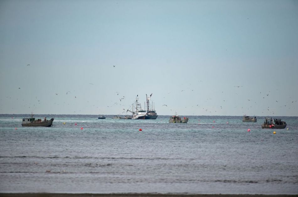 NOVI INCIDENT KOD SEVERNE KOREJE: Pjongjang zarobio ruski ribarski brod, Moskva traži oslobađanje ribara!
