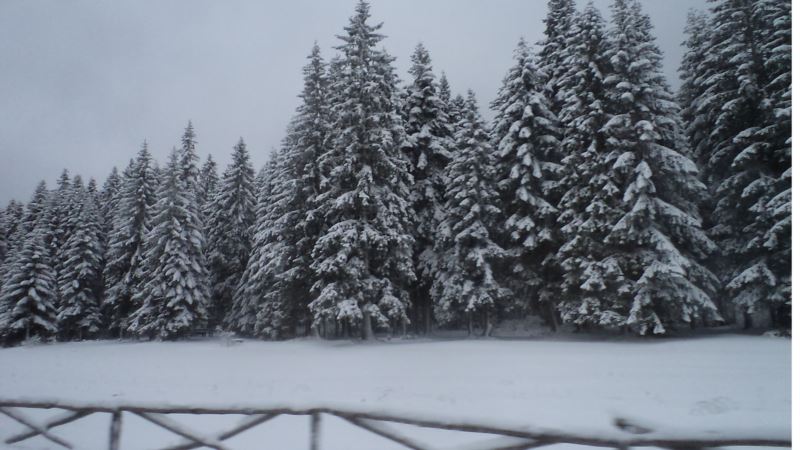 Na Bjelašnici i Romaniji kod Sarajeva pao snijeg