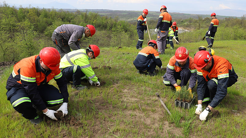 Na Dan planete Zemlje u zelenom rudniku Čukaru Peki posađeno 6.000 sadnica bora