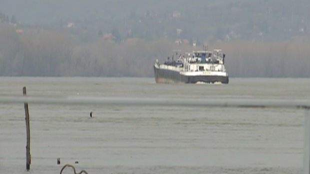 Na Dunavu u Smederevu čekaju turiste 