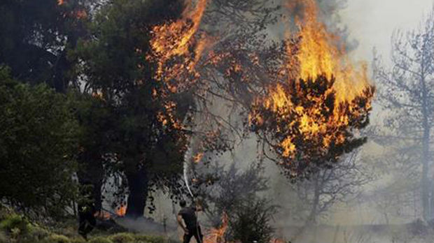 Na Peloponezu besni požar, kuće nisu ugrožene