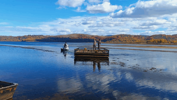 Na Vlasinskom jezeru postavljen splav za gnežđenje čigri