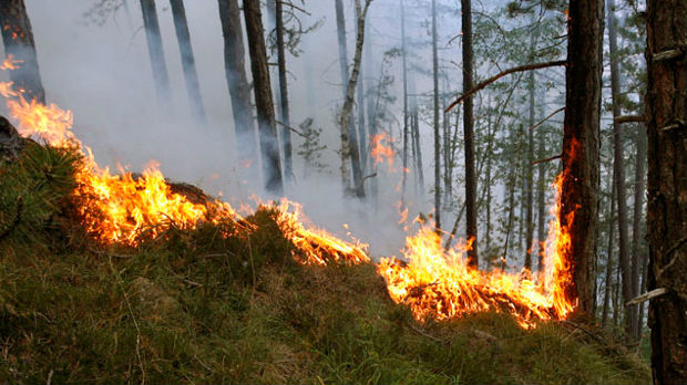 Na području Mostara registrovano 13 požara