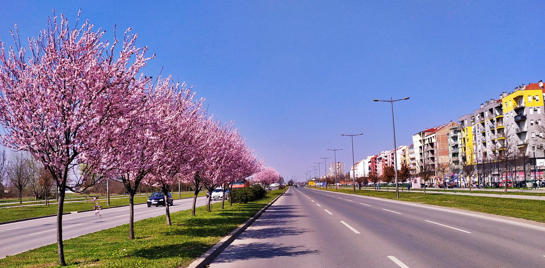 Na putevima skoro bez vozila zbog zabrane kretanja