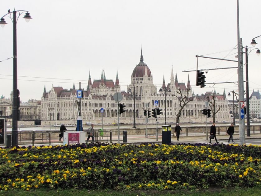 Nacionalni galop u Budimpešti, Nađ prvi, Davidović četvrti