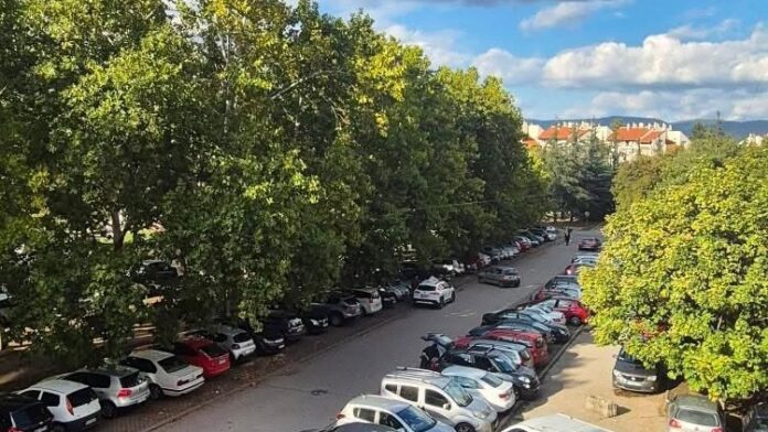 Nagnute grane „prete“ vozilima i prolaznicima na parkingu u Nišu