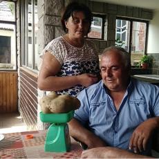 Najbolji krompir u Srbiji: Plod od gotovo dva kilograma ponos ovog kraja (FOTO)