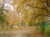 Najlepši park u Zemunu ima mračnu prošlost: Tamo je i Vuk Karadžić čekao da krene dalje