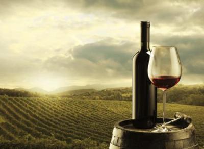 Najmanja proizvodnja vina u posljednjih 60 godina
