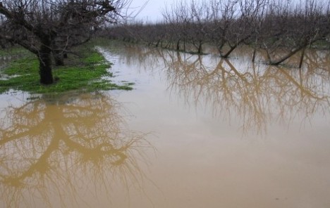 Najmanje jedna osoba poginula u velikim poplavama u Albaniji