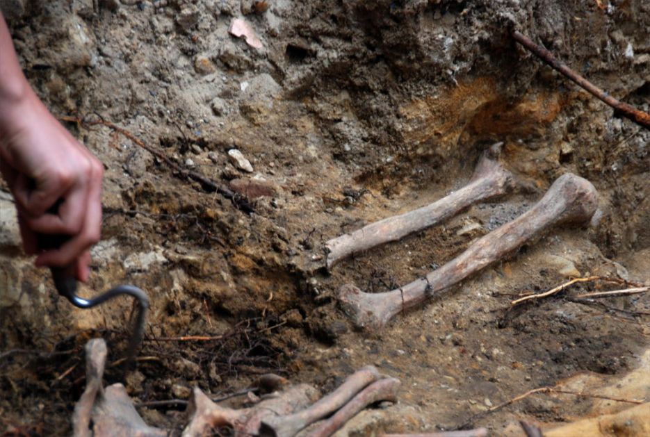 Najstariji poznati slučaj kanibalizma na svetu