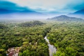 Najveća tropska šuma na svetu izgubila je 10.100 kvadratnih km za samo godinu dana