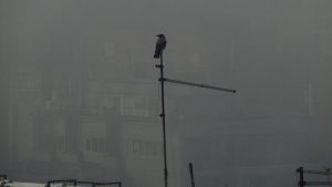 Najzagađeniji januar u Beogradu u poslednjih šest godina