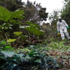 Nakon podatka da je roba iz Brazila puna toksičnih pesticida, oglasila se ambasada: Otkriveno da li ima opasnosti za Srbiju