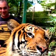 Naš pevač se obogatio od nekretnina - sada živi luks, jede škorpije i mazi tigrove: Neverovatni snimci