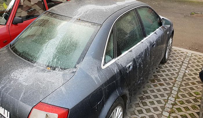 Nastavljeni sukobi u Beočinu, kiselina prosuta po automobilu bivšeg člana opštinskog veća  