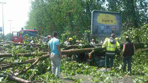 Drvo palo na automobil u Novom Sadu, žena poginula