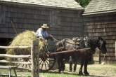 Naučnici otkrili zašto Amiši žive 10 godina duže od proseka