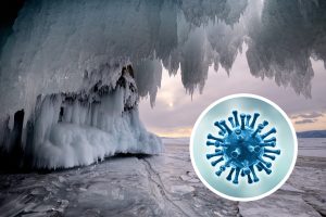 Naučnici oživeli 48.500 godina star “zombi virus” zakopan u ledu