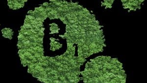 Naučnici potvrdili 67 godina staru hipotezu o vitaminu B1