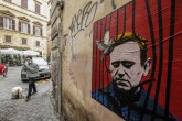 Navaljni nije politički zatvorenik