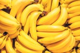 Bez banana imunološki sistem pati