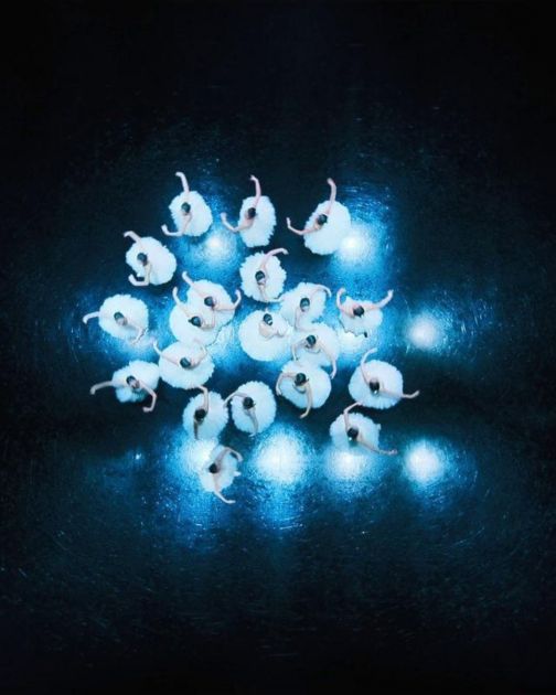 Ne znate šta da gledate ovaj vikend? Potražite korejske filmove na Netflixu!