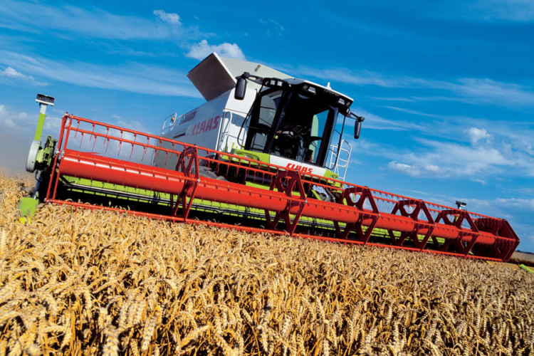 Nedimović: Uskoro počinje izvoz pšenice za Egipat