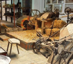 Neobični muzeji u Vojvodini: Da li ste čuli za njih? FOTO