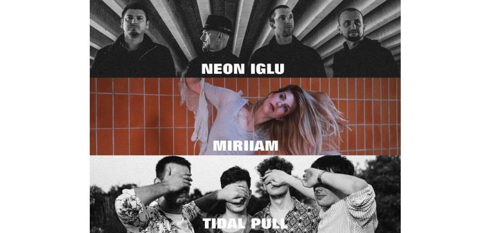 Neon Iglu, Tidal Pull i Miriiam na INmusic festivalu