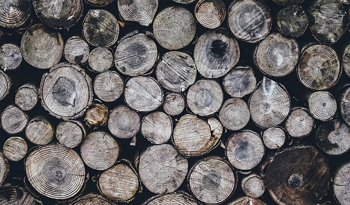 Nestašica drva i u Novom Sadu, cena basnoslovno skočila
