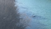 Nesvakidašnji incident u Podgorici: Sleteo automobilom u reku, olupina pluta na površini FOTO