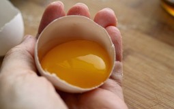 
					Neverovatna moć ljuske od jajeta (VIDEO) 
					
									