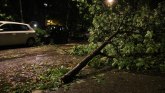 Nevreme napravilo haos u Zapadnoj Srbiji: Drvo palo na kolovoz; vetar nosio splavove