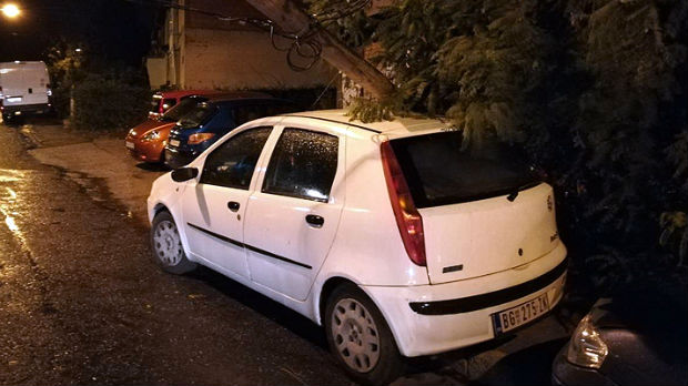 Nevreme pogodilo Srbiju, vetar rušio stabla i bandere